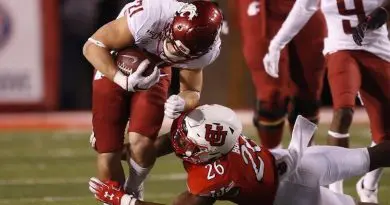 borghi vs utah