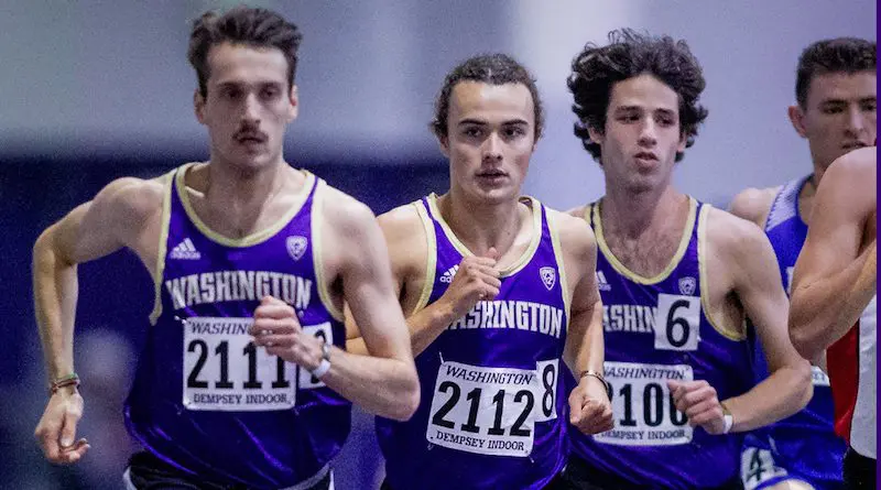 husky distance runners