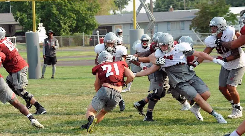 Borghi_Max wsu practice