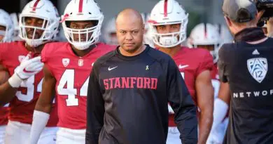 David Shaw Stan hist