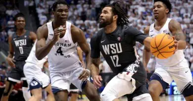 Washington State guard Michael Flowers vs byu nit