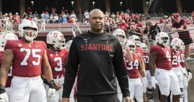 david shaw and stanford 2
