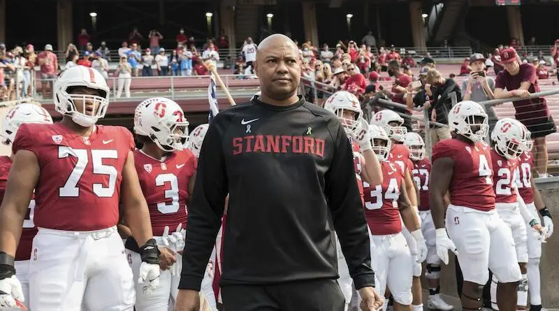 david shaw and stanford 2