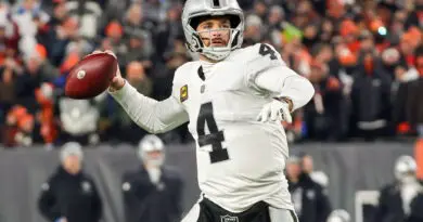 AFC Wild Card Playoffs - Las Vegas Raiders v Cincinnati Bengals