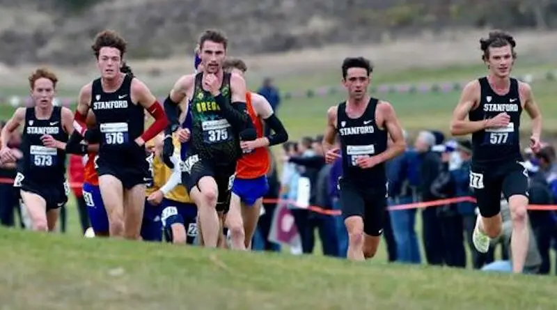 Stanford men's cross country 2022
