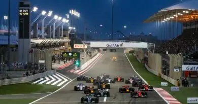 Bahrain Grand Prix Race