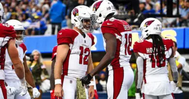 Cardinals 2