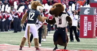 cougar and beaver mascots