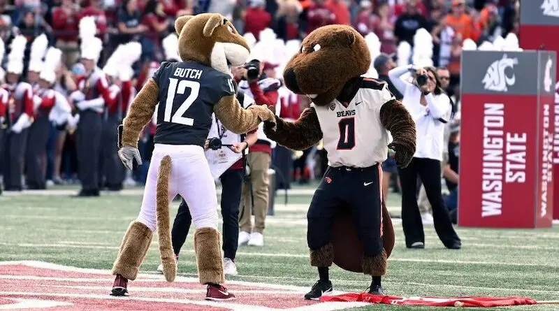 cougar and beaver mascots