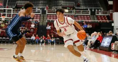 Andrej Stojakovic stanford vs idaho