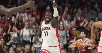 Stanford Arizona Basketball