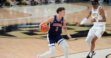 Arizona guard Pelle Larsson vs Colorado