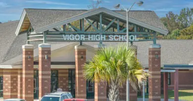 Vigor HS