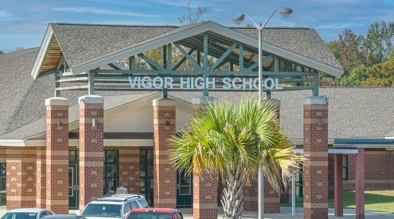 Vigor HS