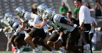lanning and ducks
