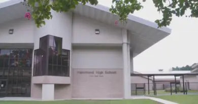 Hammond HS 2
