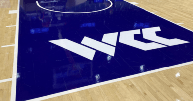 WCC Logo court
