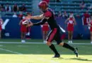 Former SDSU punter Matt Araiza