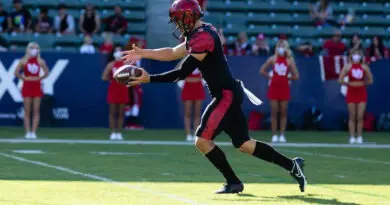 Former SDSU punter Matt Araiza