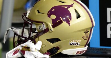 Texas State Helment