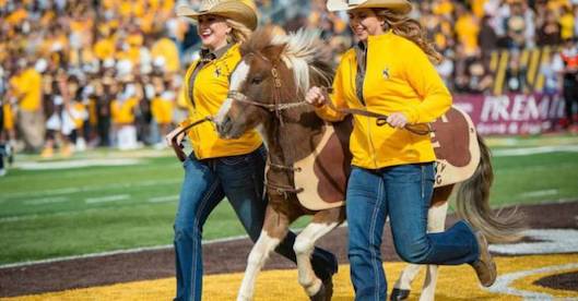 Cowboy Joe