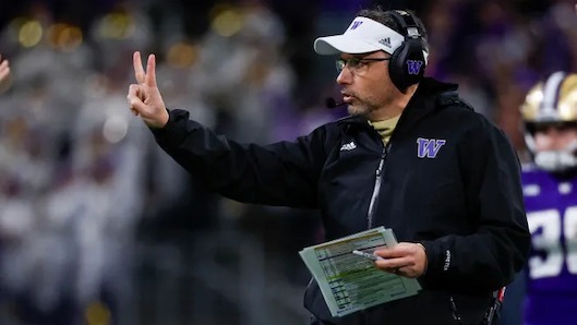 Jedd Fisch