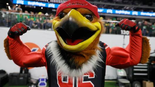 Swoop