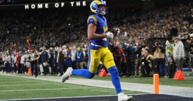2025 Top Week 16 NFL Performances by Players from West Puka Nacua